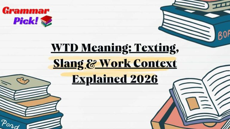 WTD Meaning