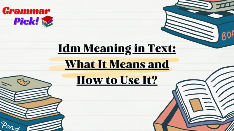 Idm Meaning in Text