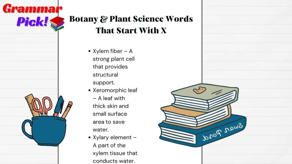 Botany & Plant Science Words That Start With X