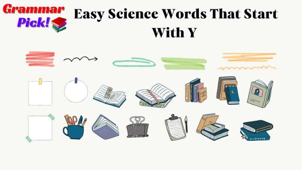 Easy Science Words That Start With Y 